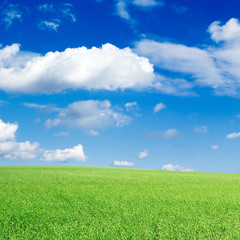 Green field, the blue sky, white clouds