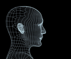 Head of the person from a blue 3d grid