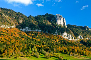 Fototapeta na wymiar Montagne en vercors avec forêt d'automne