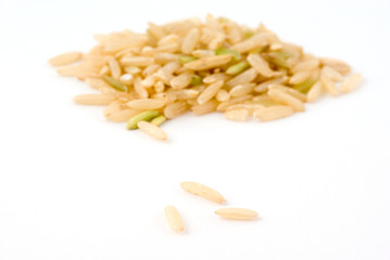 grain of rice