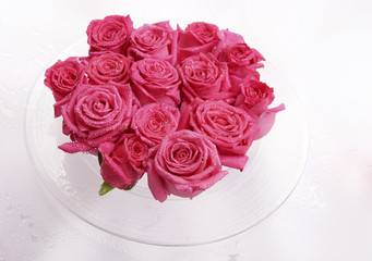 rosarote rosen