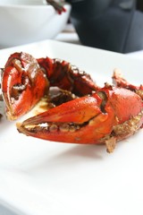 Mud crab