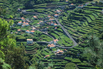 paysage de culture en terrasse à Madère