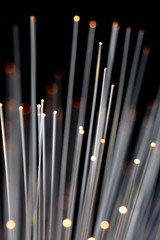 Optic Fibers