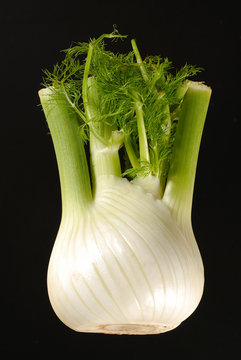 fenouil