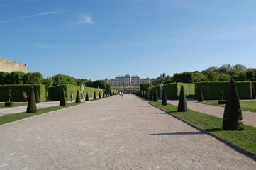 Obraz premium Vienna, Austria - Belvedere