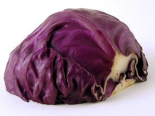 Obraz premium Rotkohl