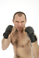 boxer