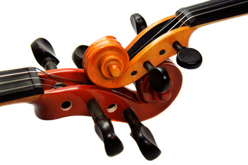 Two violins isolated on a white background. A fragment