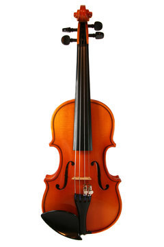 violins isolated on a white background.