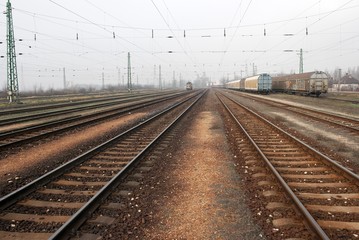 Fototapeta na wymiar Many railway tracks and freight trains