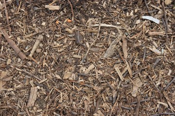 Organic texture of the ground with wood particles