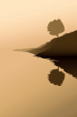 lonely tree and foggy morning