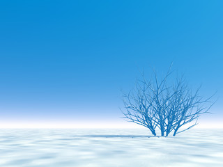 White winter scene