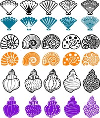 shell