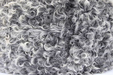 On a photo a wool of a sheep close up.