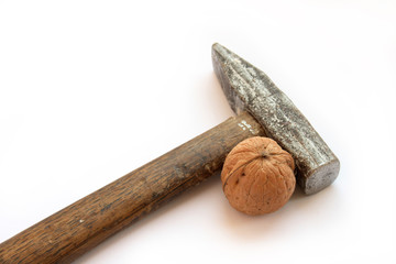 Nut and hammer