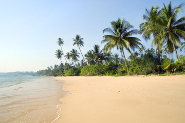 Empty Tropical Beach