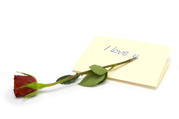 Fototapeta premium Red rose and love letter on a white