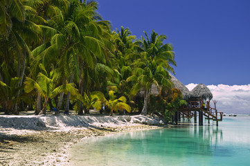 Fototapeta na wymiar Tropical Paradise Beach Dream of the South Pacific