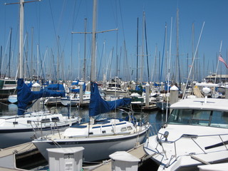 Monterey Marina in California