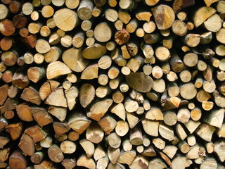 End view of a pile of logs