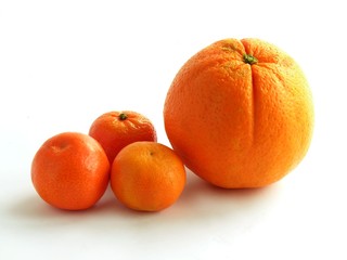 orange and mandarines