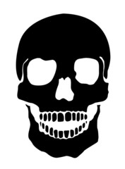 Simple Illustration Of A Human Skull, White Background