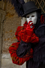 Venice carnival mask