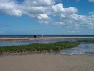 Grüner Strand