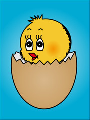 Osterküken, hintergrund