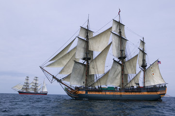 Tall Ship at Sea under full sail with ships in the background.