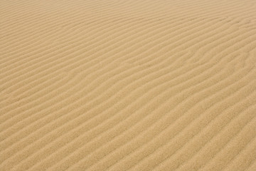 Fototapeta na wymiar Sand Patterns
