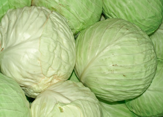 white cabbage on market