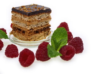 schoko himbeer schnitte