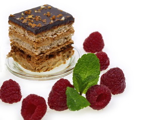 schoko himbeer schnitte