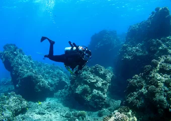 Photo sur Plexiglas Plonger Diver swimming through Reef in Maui Hawaii