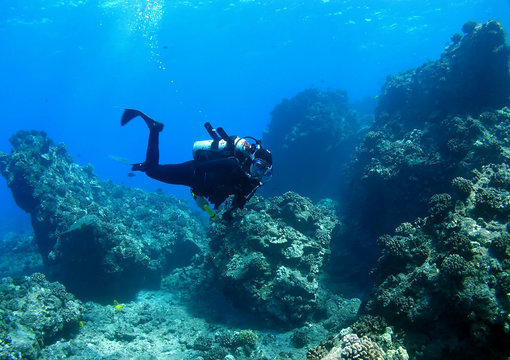 Diver swimming through Reef in Maui Hawaii