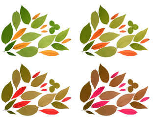 composition avec des feuilles séchées