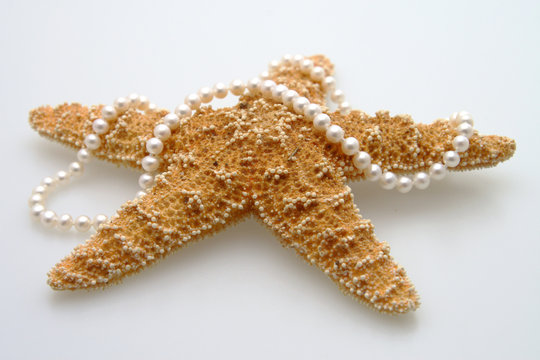 Starfish and Pearls