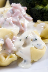 A healthy plate of tortollini with a cream sauce.