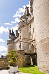 Fototapeta na wymiar Chateau Langeais Entrance