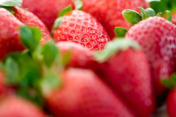 Eine scharfe Erdbeere zwischen vielen unscharfen