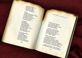 burned book
