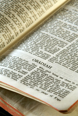Fototapeta premium holy bible open to the book of obadiah in the old testament