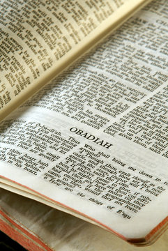  holy bible open to the book of obadiah in the old testament