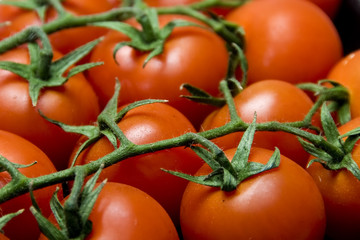 Closeup of red tomatoes with green stems