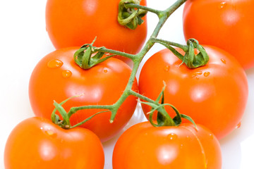 Fresh red juicy tomatoes with water drops