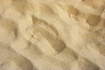 sandy beach - summer background - adobe RGB