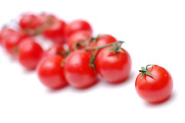 group of tomatoes with a leader